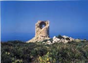 sizilien,ferienwohnung in sizilien, Terrasini Casa Ulla und Gino,Caporama in der N�he von Terrasini